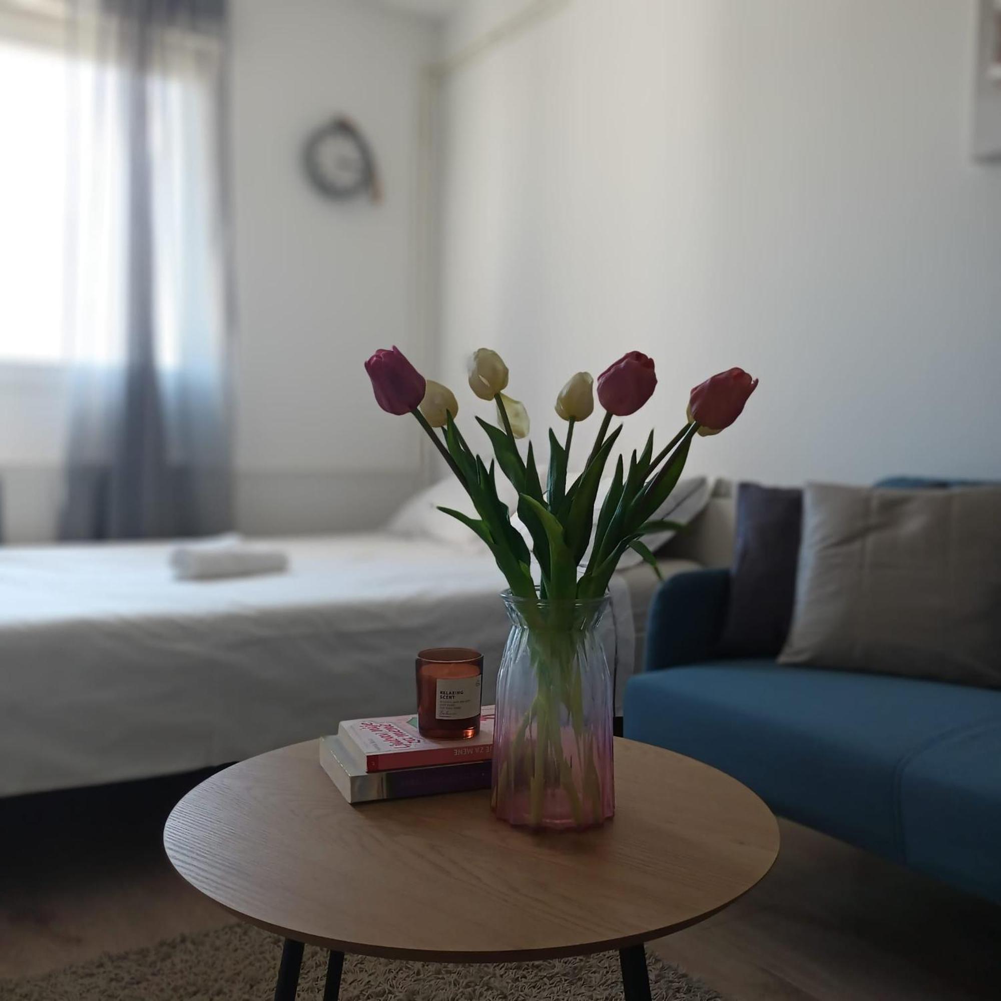 Modern Studio Near City Center Záhřeb Exteriér fotografie
